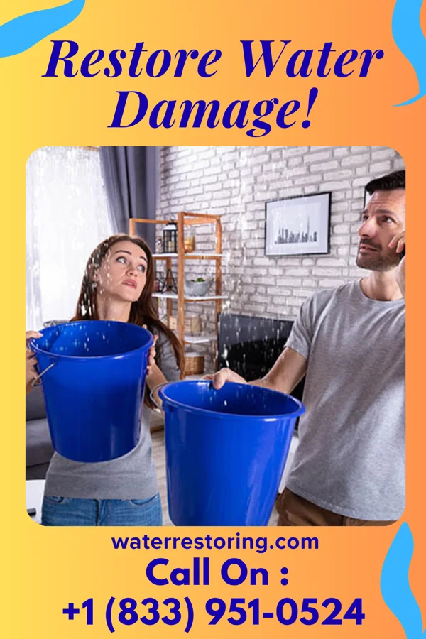 water restoration Lightning Recovery Contractors Lonaconing