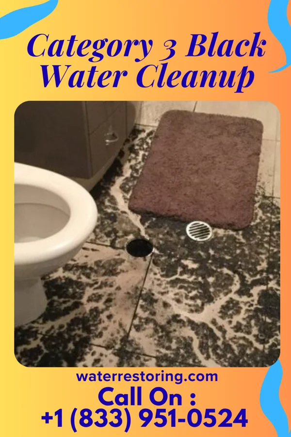 Category 3 Black Water Cleanup in Lonaconing, MD