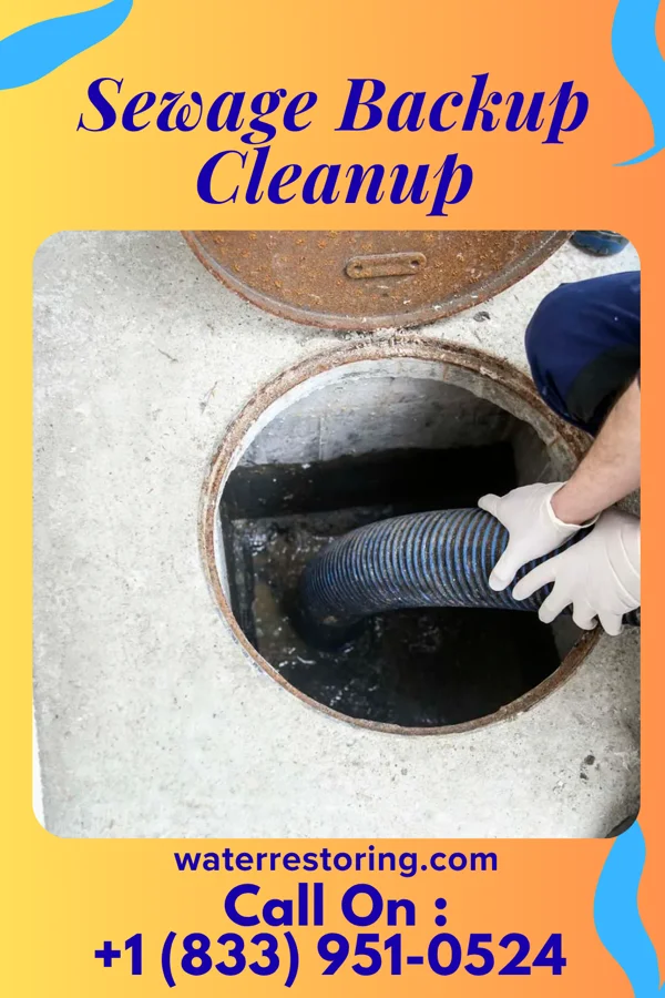 Sewage Backup Cleanup in Lonaconing, MD