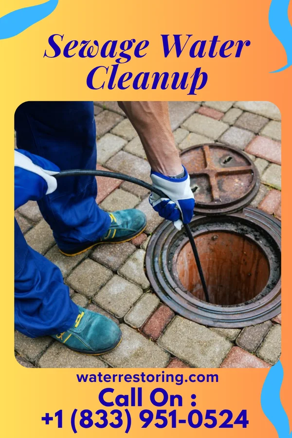 Sewage Water Cleanup in Lonaconing, MD
