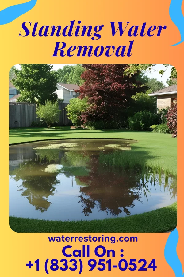 Standing Water Removal in Lonaconing, MD
